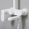Душевой комплект WASSERKRAFT THERMO с термостатическим смесителем A188.254.155.WM Thermo